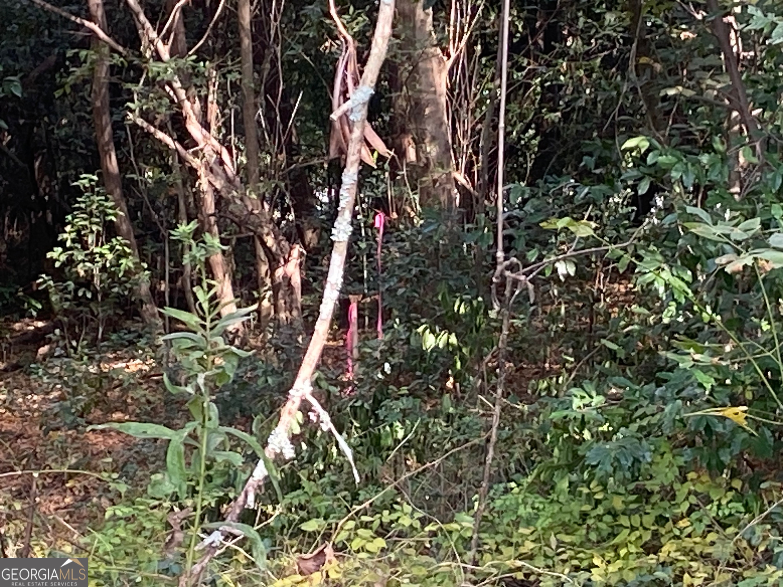 0 Moseley Road Byron GA 31008