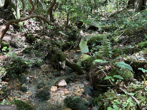 5.74 Ac Hardslate Road Ellijay GA 30540