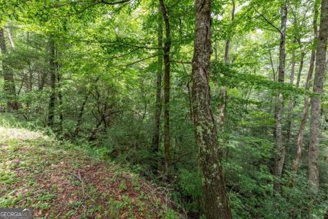 5.74 Ac Hardslate Road Ellijay GA 30540