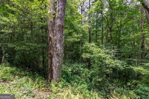 5.74 Ac Hardslate Road Ellijay GA 30540