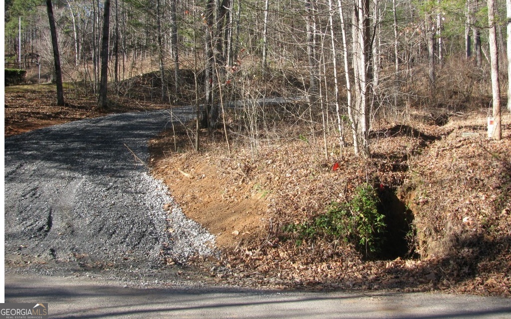 #68 Summerwood Lane Young Harris GA 30582