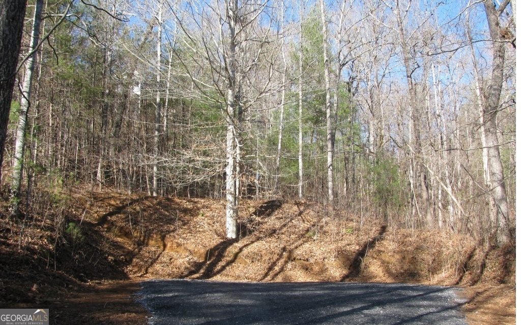 #68 Summerwood Lane Young Harris GA 30582