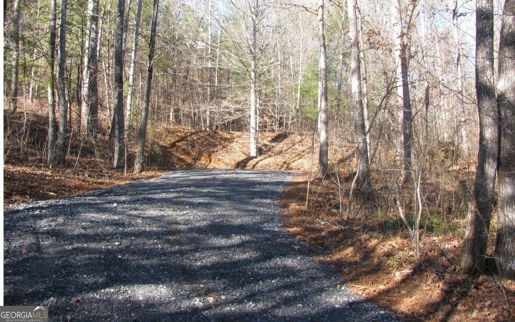 #68 Summerwood Lane Young Harris GA 30582