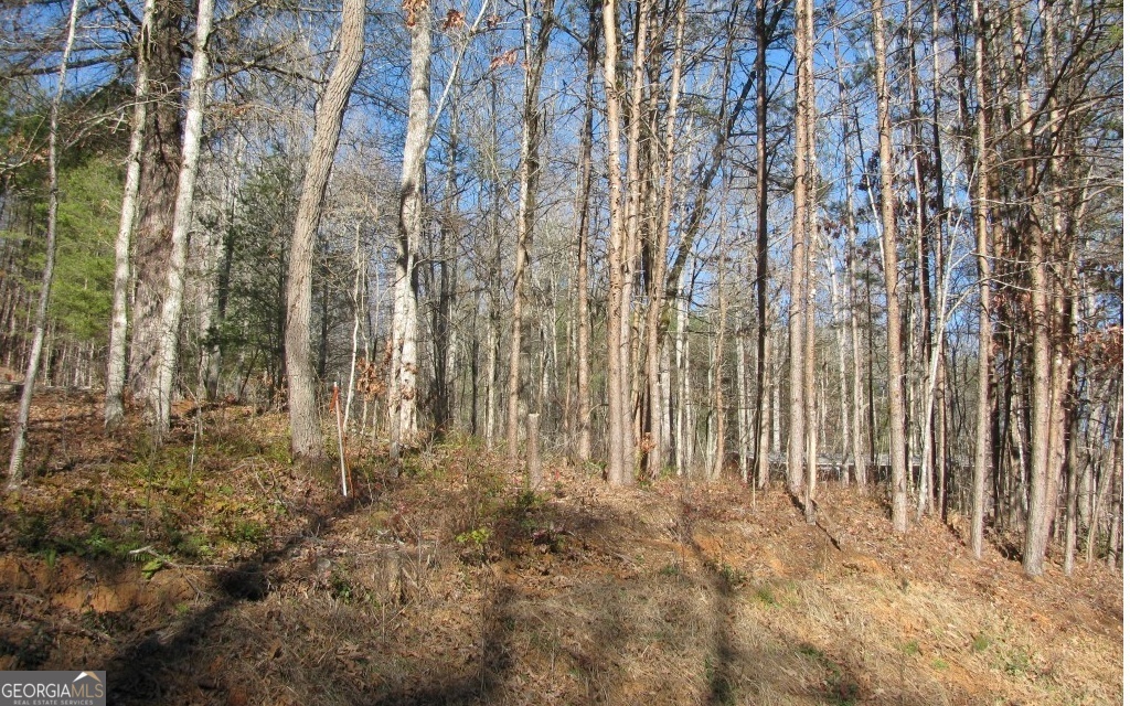 #68 Summerwood Lane Young Harris GA 30582