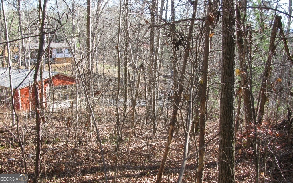 #68 Summerwood Lane Young Harris GA 30582