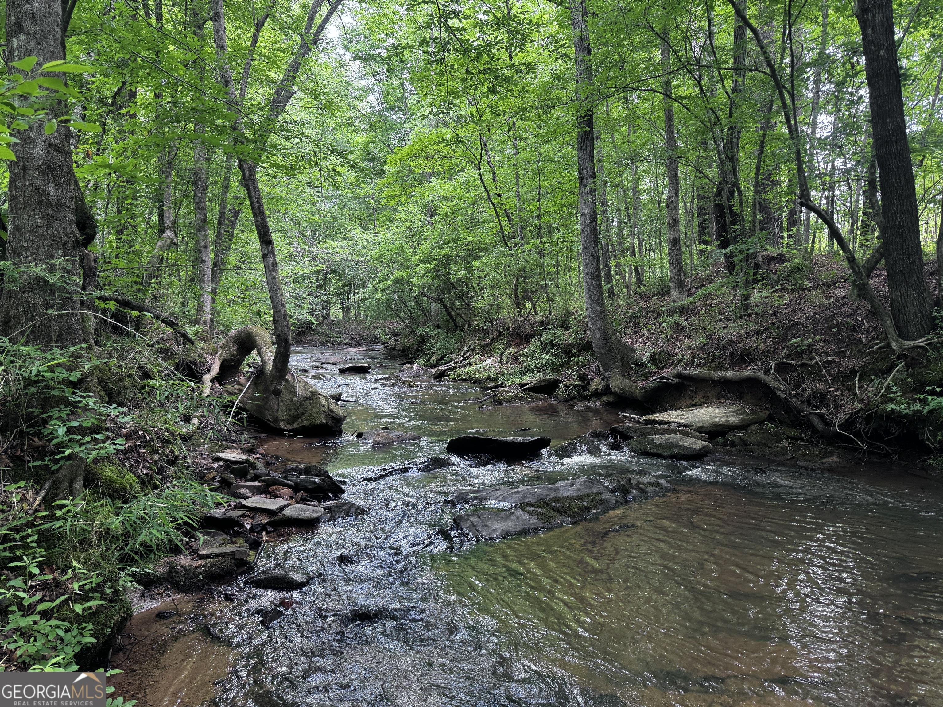 715+/- Ac Ridgeway Road Franklin GA 30217