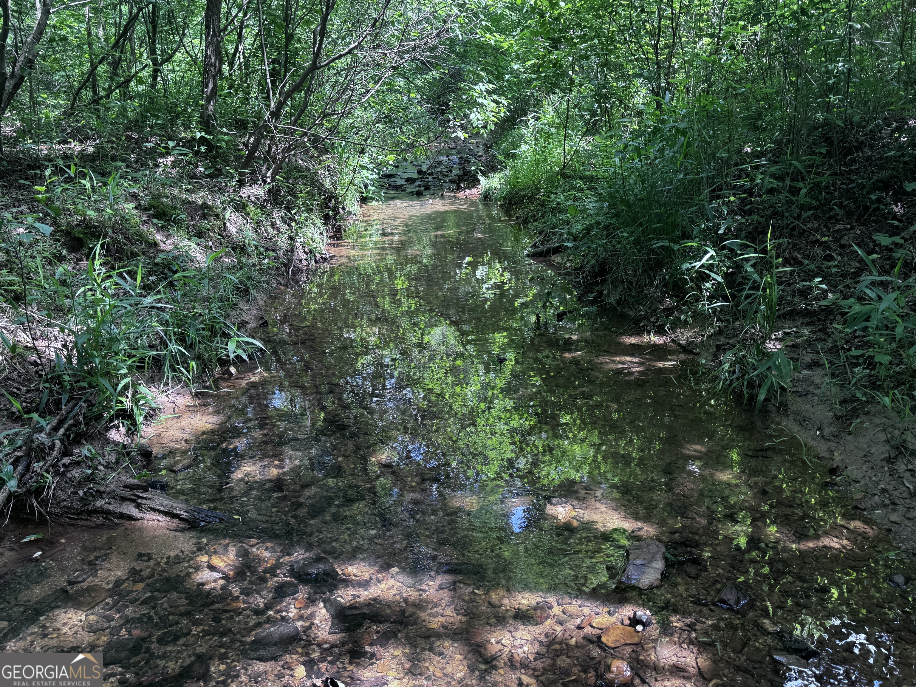 715+/- Ac Ridgeway Road Franklin GA 30217