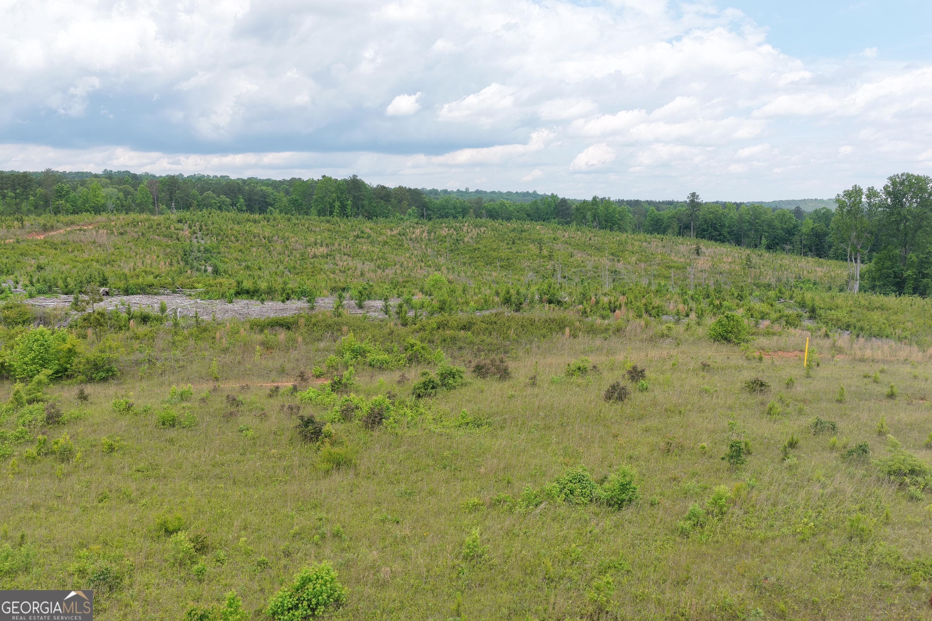 715+/- Ac Ridgeway Road Franklin GA 30217
