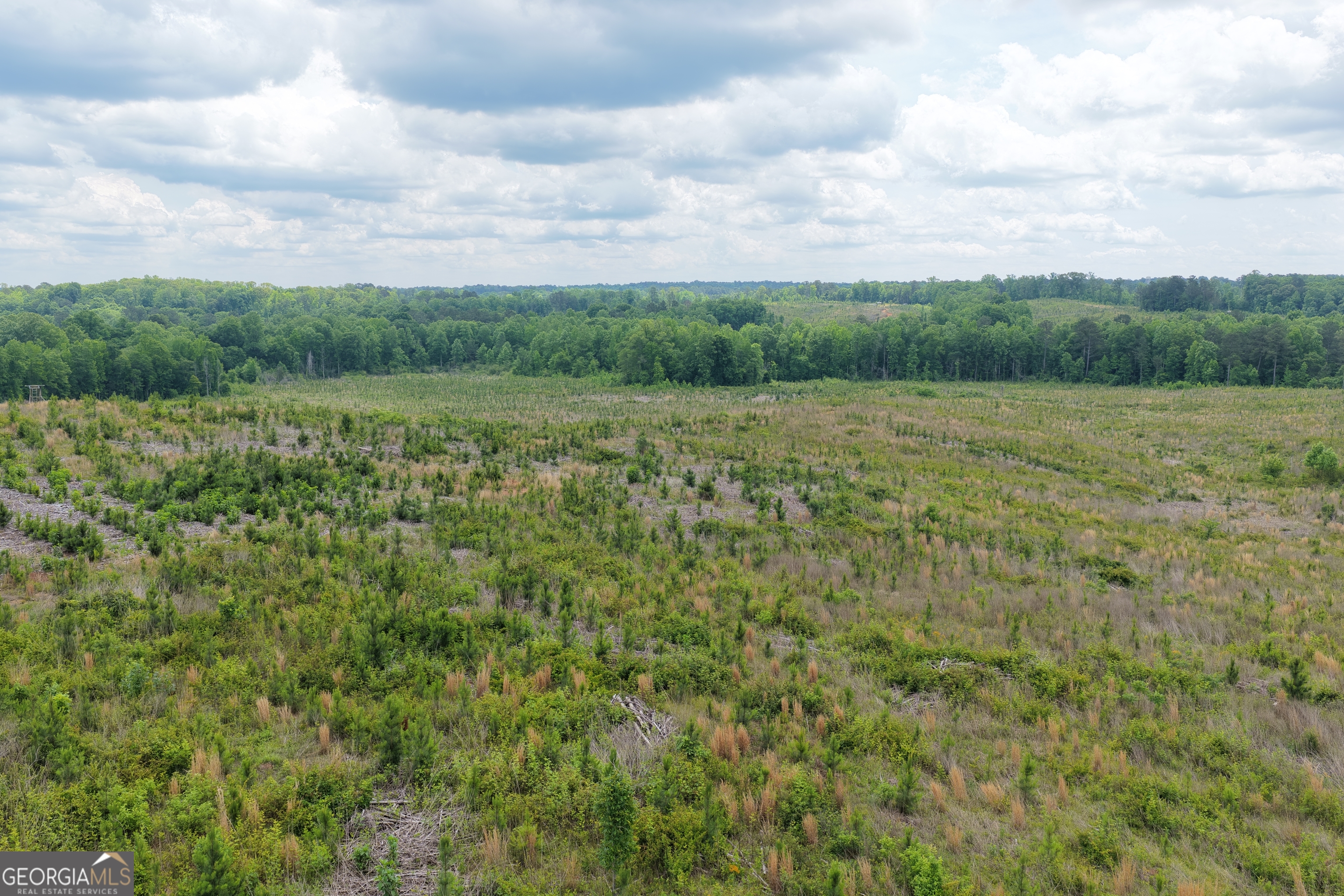 715+/- Ac Ridgeway Road Franklin GA 30217