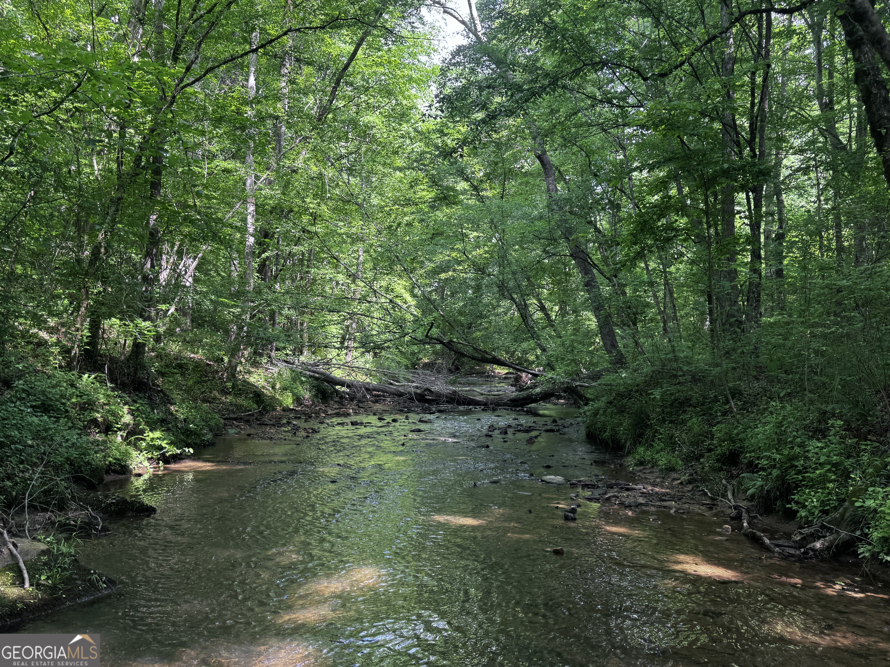 715+/- Ac Ridgeway Road Franklin GA 30217