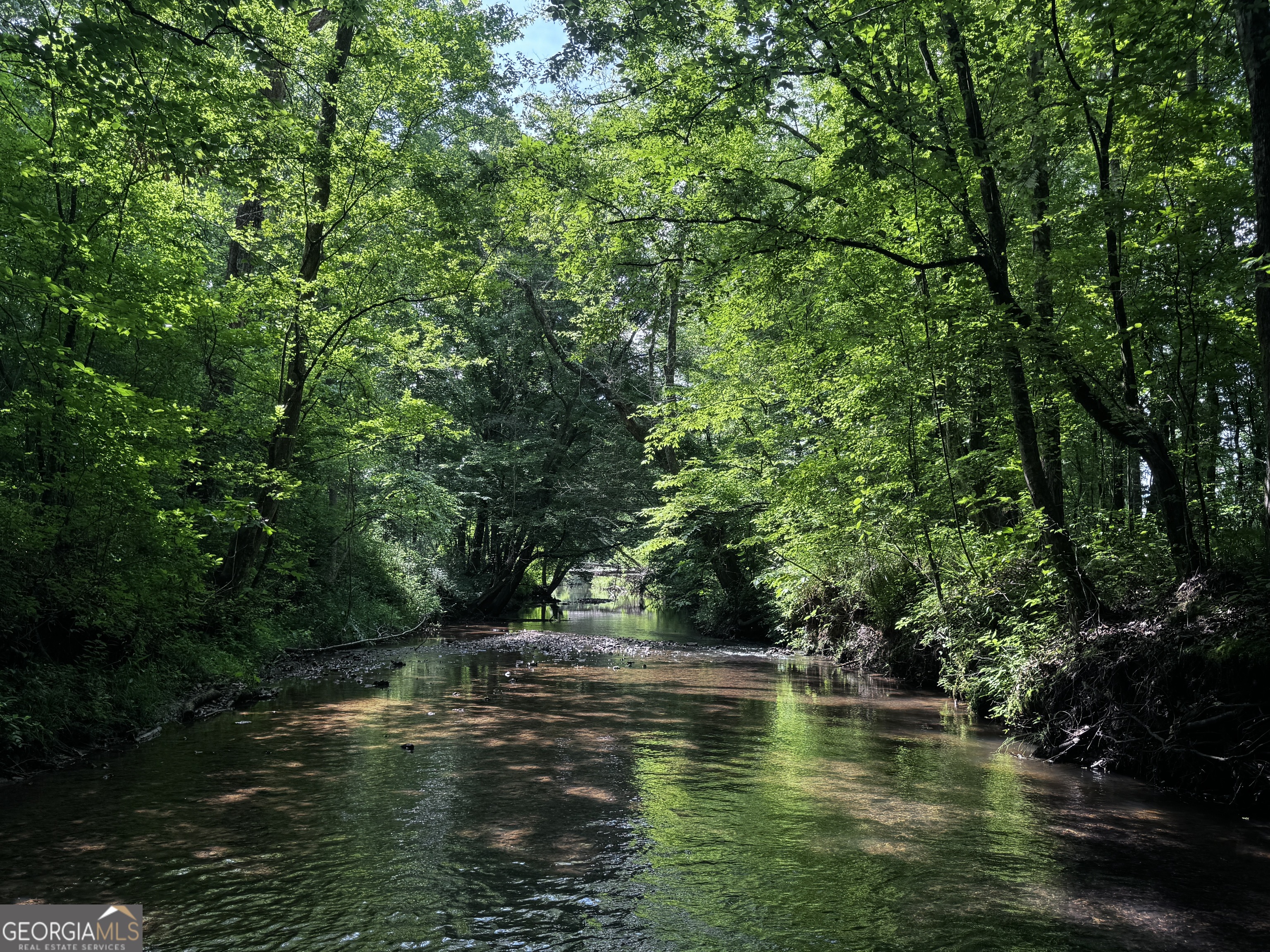 715+/- Ac Ridgeway Road Franklin GA 30217
