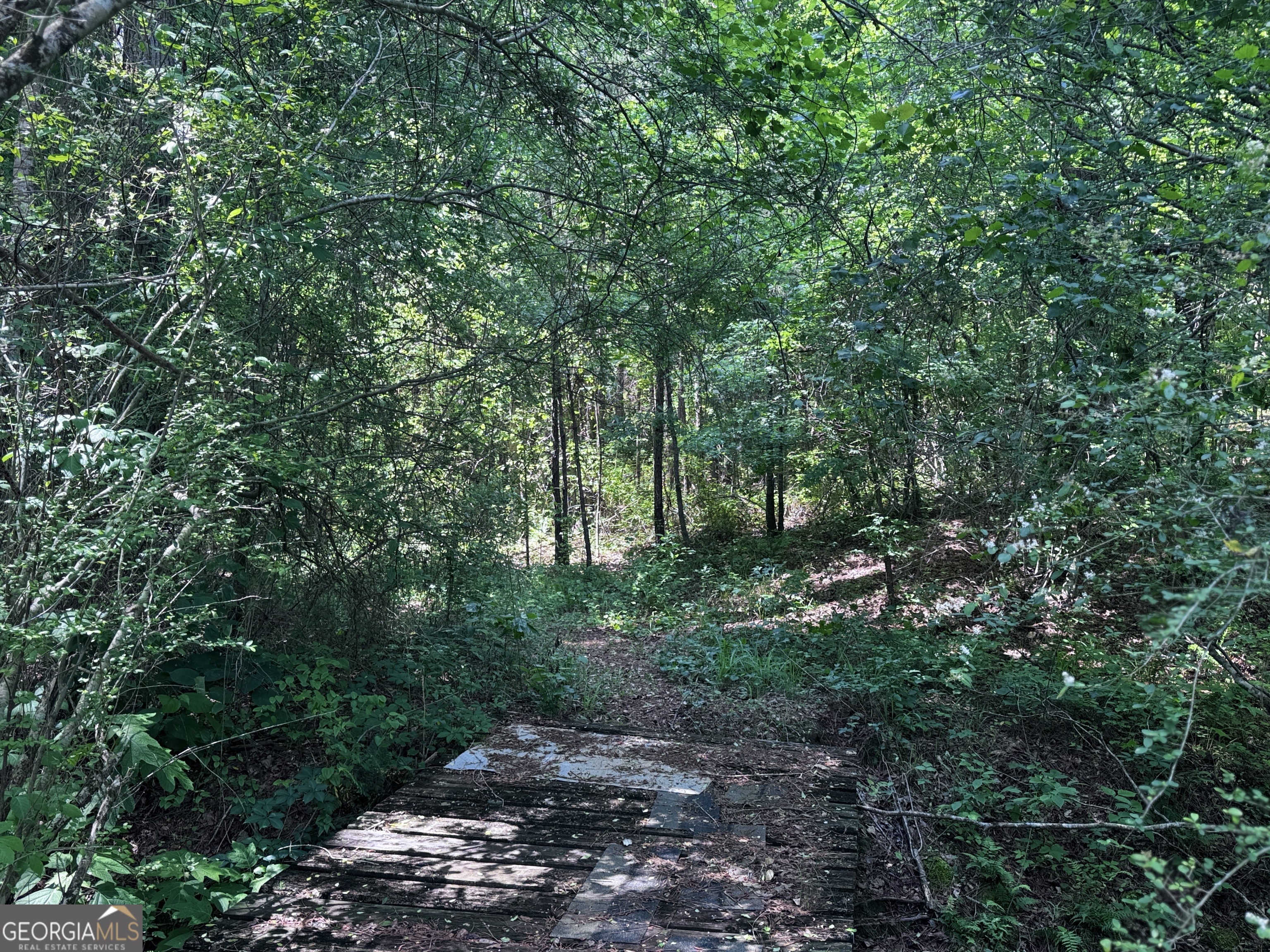 715+/- Ac Ridgeway Road Franklin GA 30217