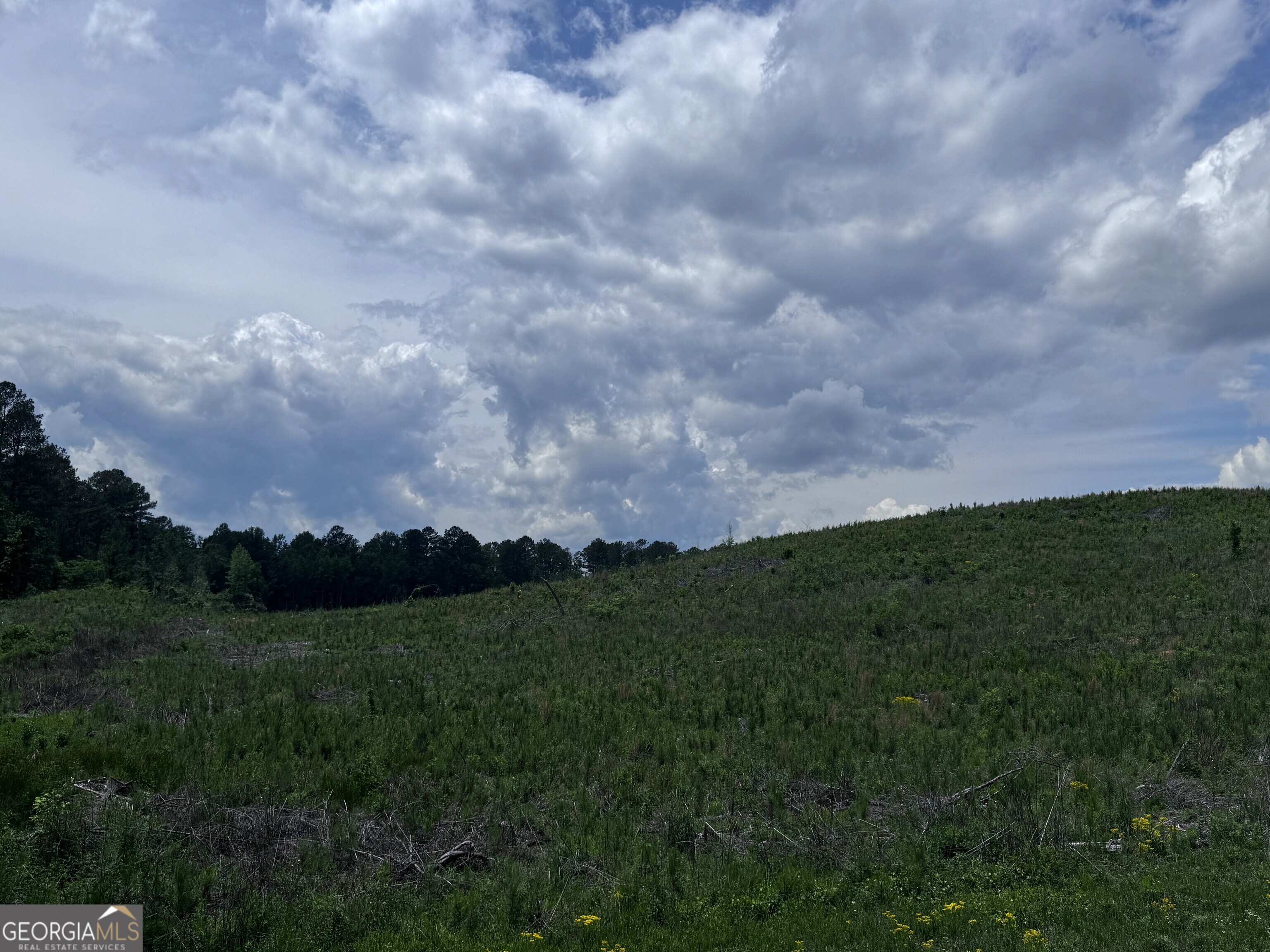 715+/- Ac Ridgeway Road Franklin GA 30217