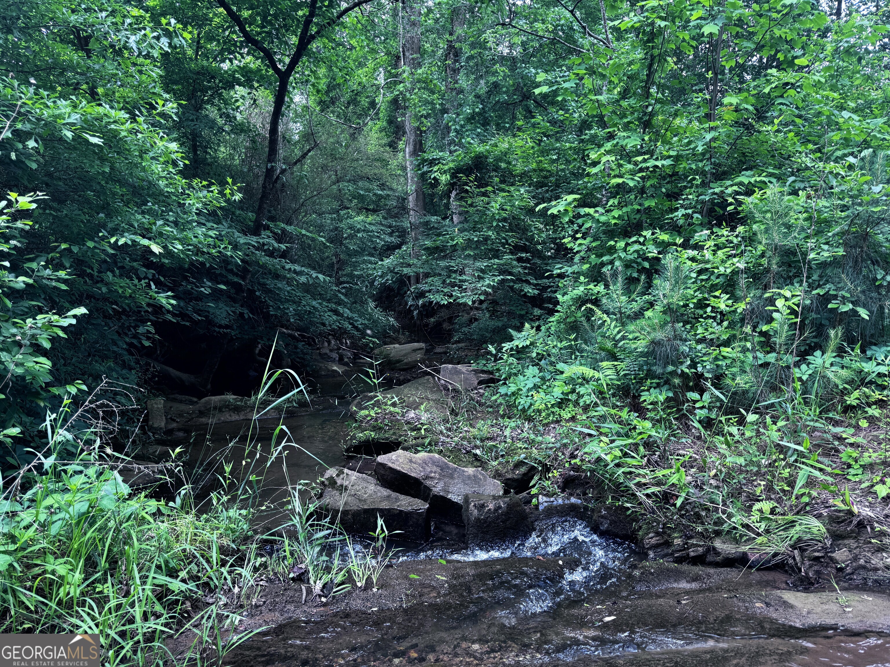715+/- Ac Ridgeway Road Franklin GA 30217
