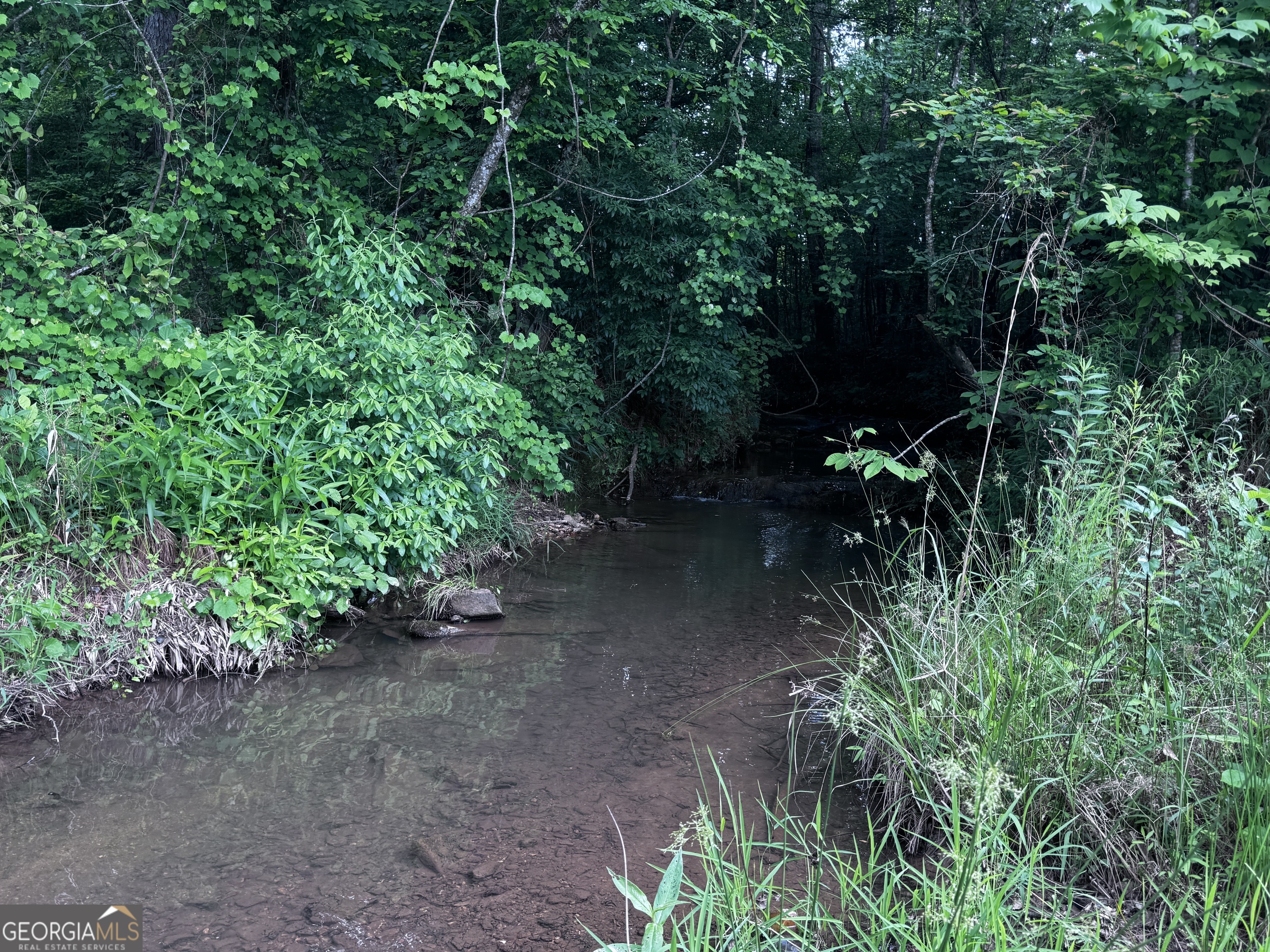 715+/- Ac Ridgeway Road Franklin GA 30217