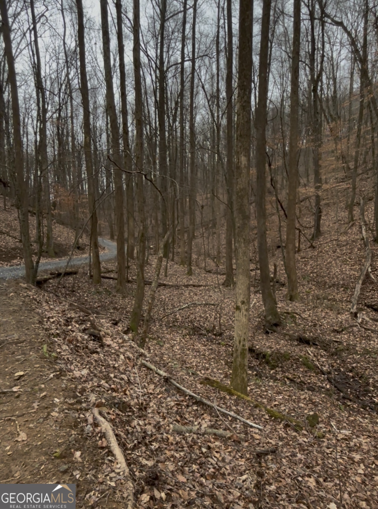0 Sutton Road Talking Rock GA 30175