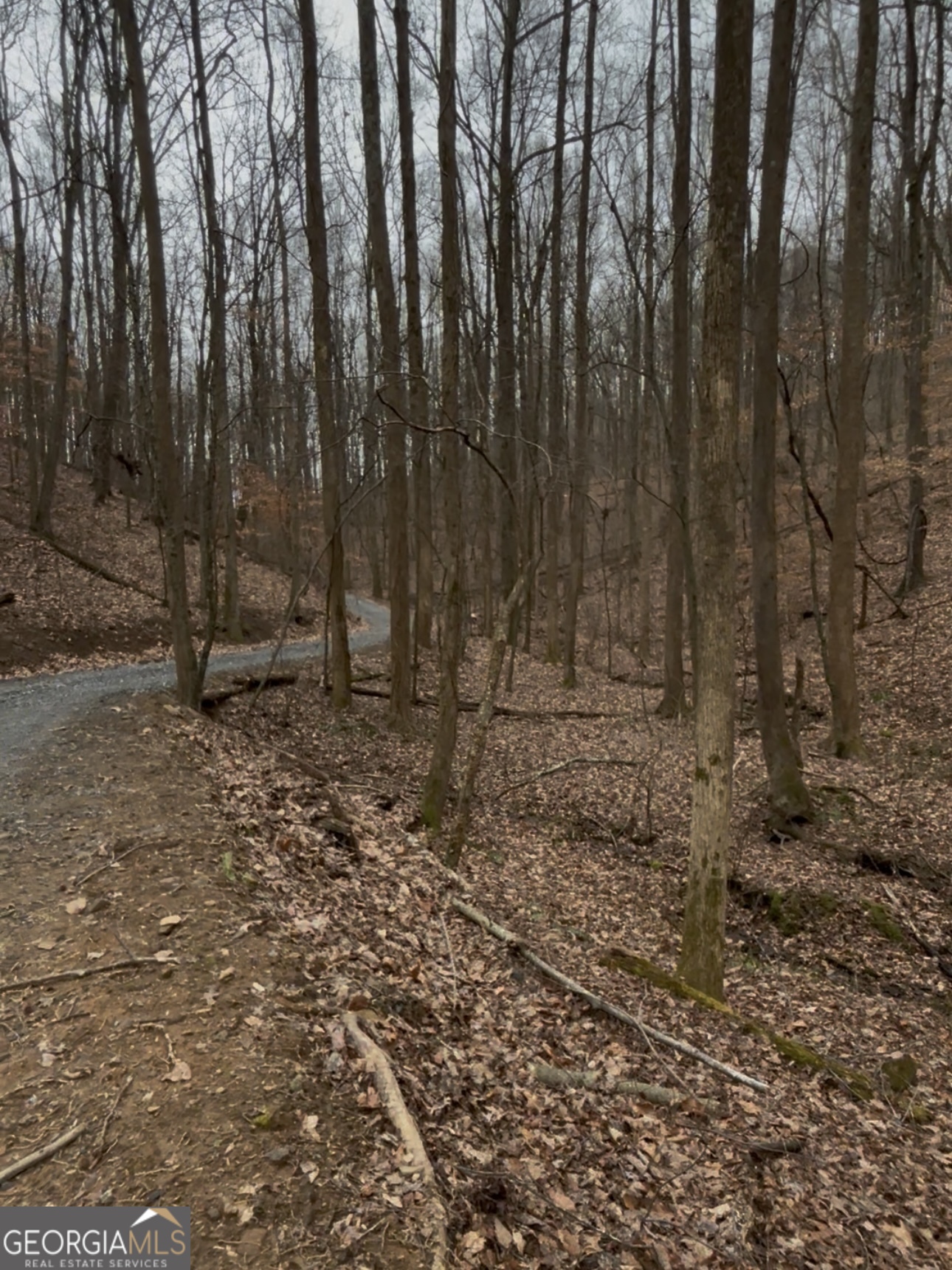 0 Sutton Road Talking Rock GA 30175