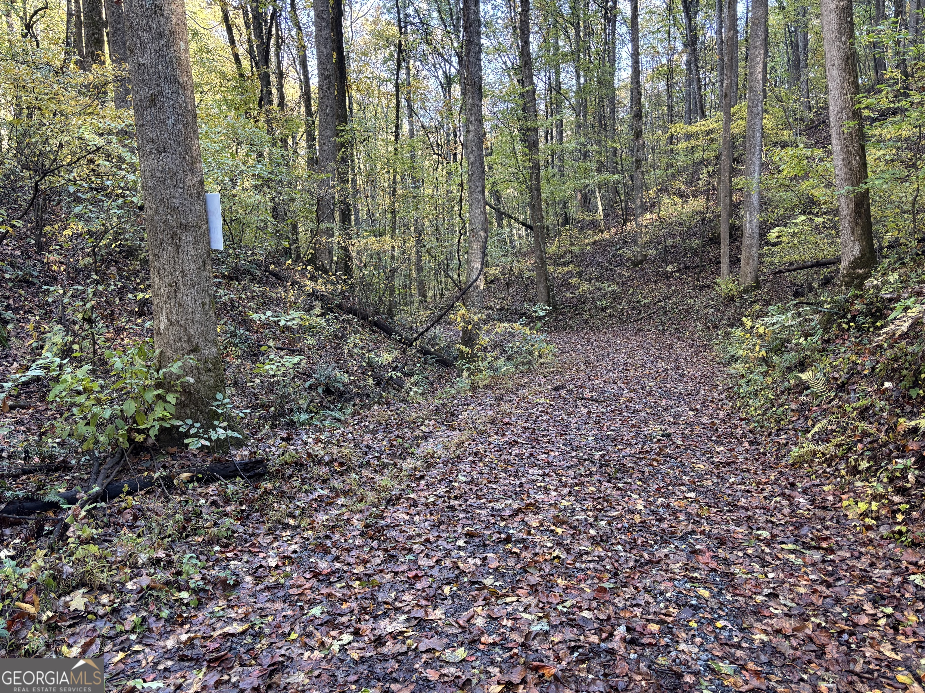 0 Sutton Road Talking Rock GA 30175