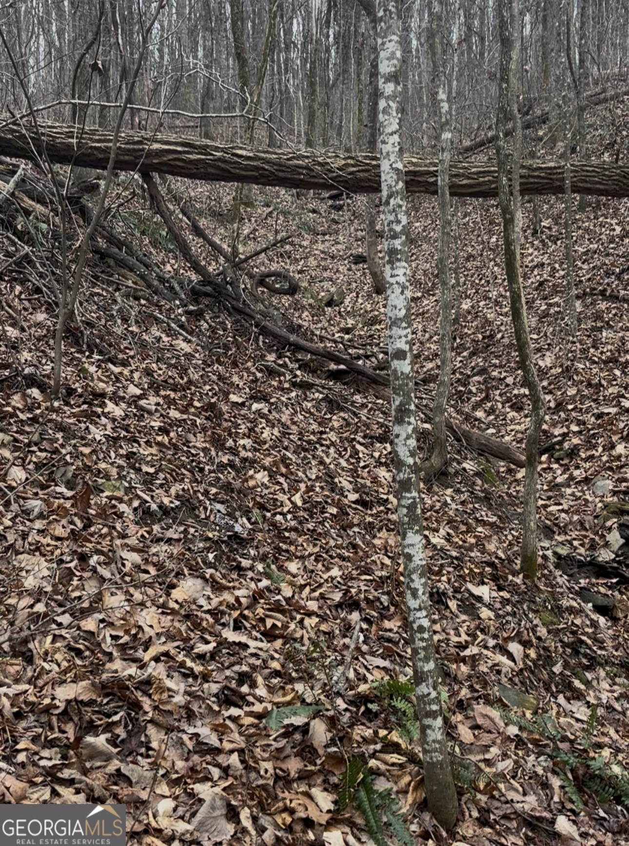 0 Sutton Road Talking Rock GA 30175
