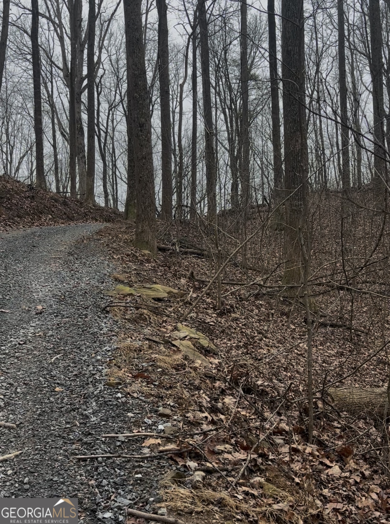 0 Sutton Road Talking Rock GA 30175