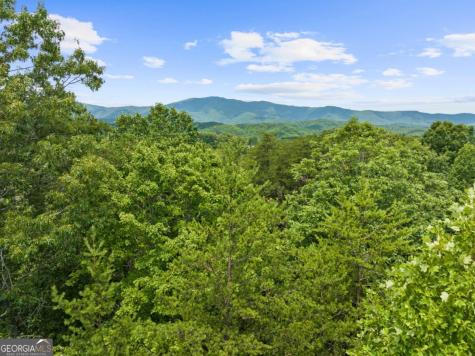 0 Crawford Road Mccaysville GA 30555