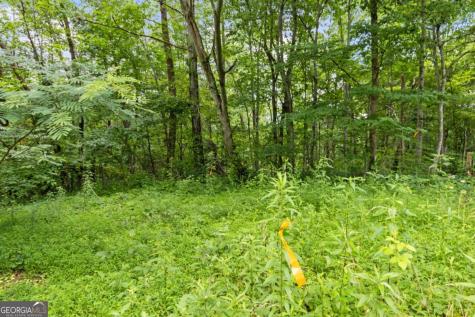 0 Crawford Road Mccaysville GA 30555