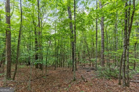 0 Crawford Road Mccaysville GA 30555