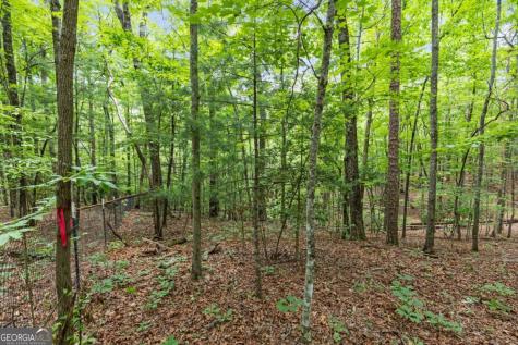 0 Crawford Road Mccaysville GA 30555