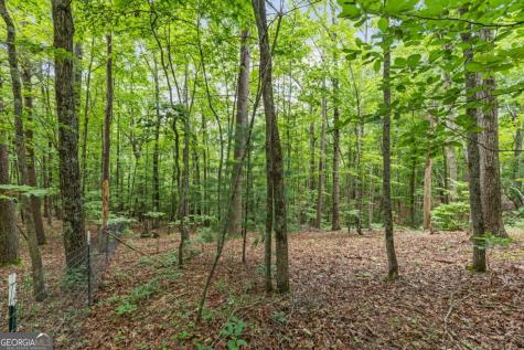0 Crawford Road Mccaysville GA 30555