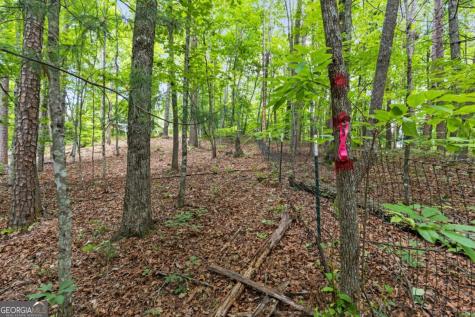 0 Crawford Road Mccaysville GA 30555