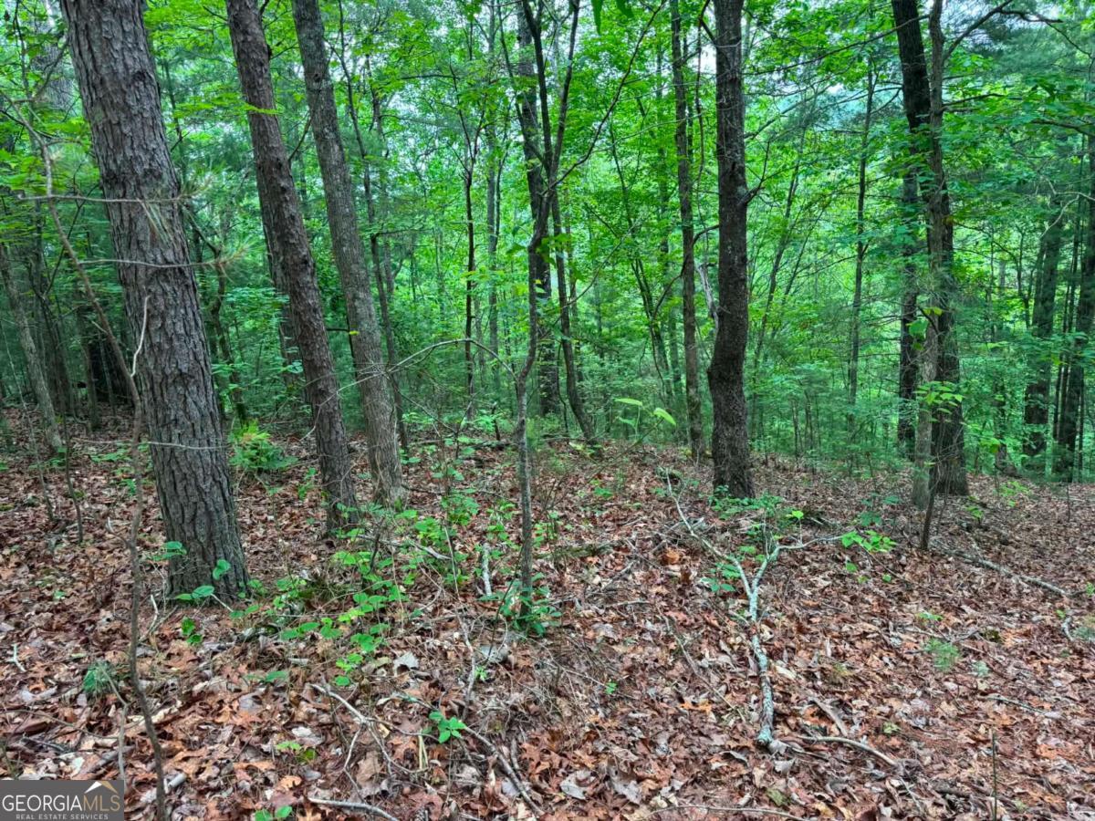 1674A Hunter Drive Ranger GA 30734