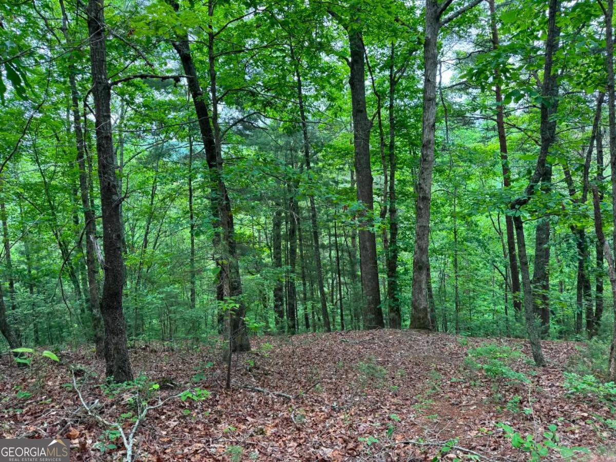 1674A Hunter Drive Ranger GA 30734