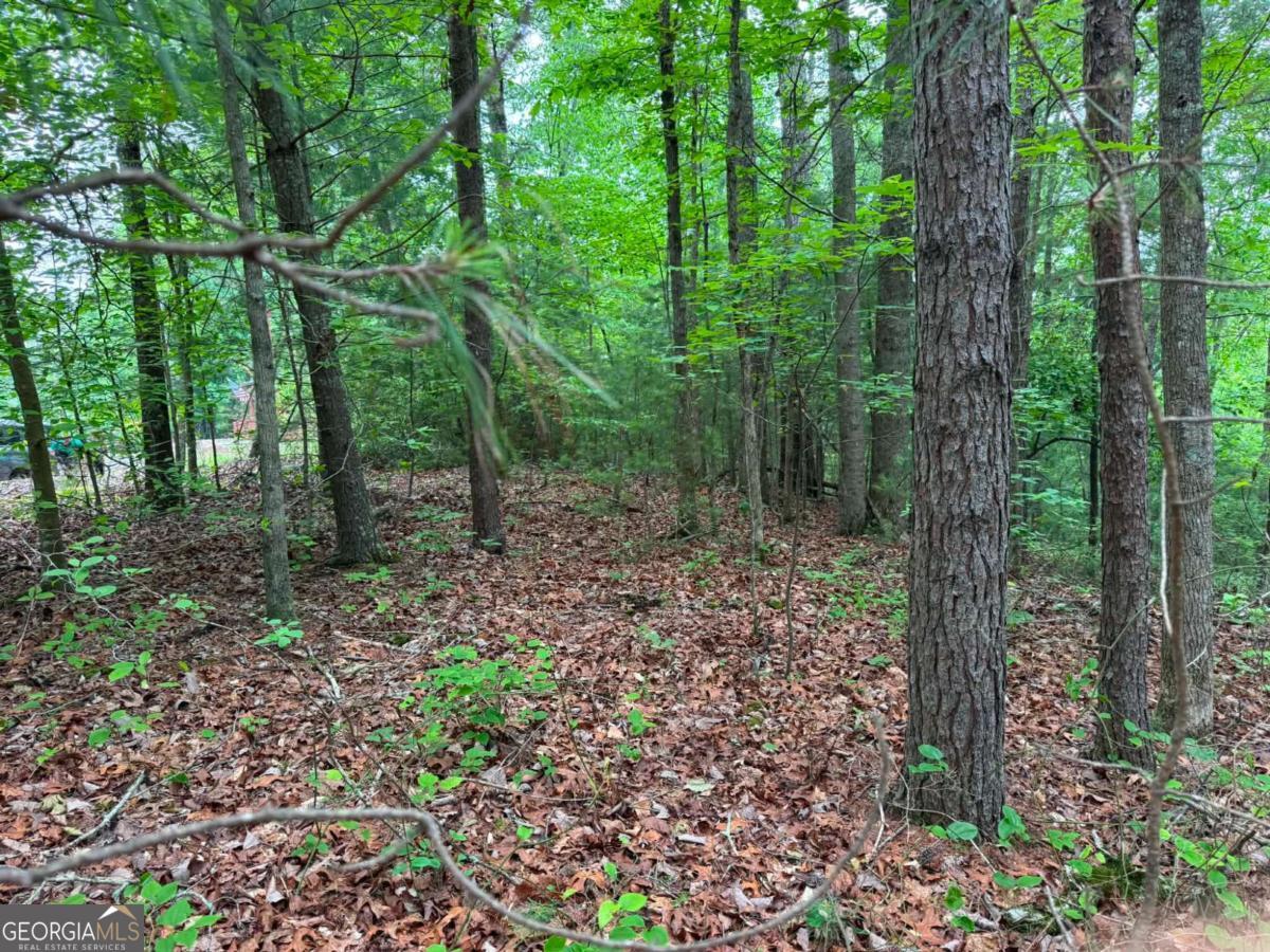 1674A Hunter Drive Ranger GA 30734