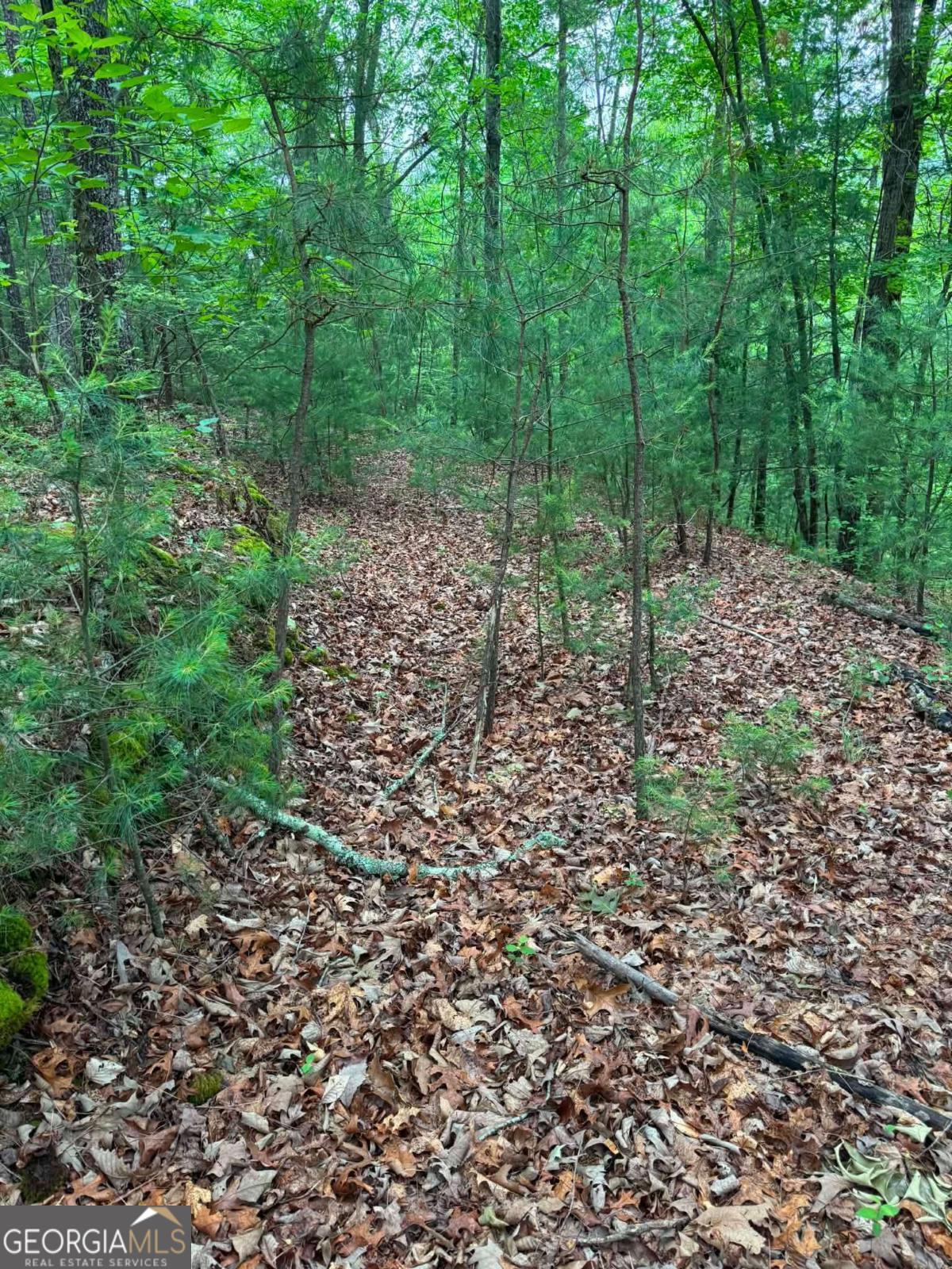 1674A Hunter Drive Ranger GA 30734