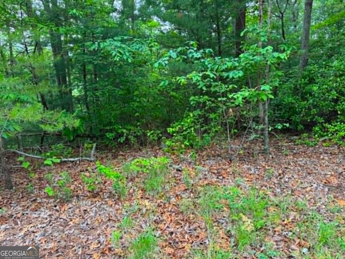 1674A Hunter Drive Ranger GA 30734