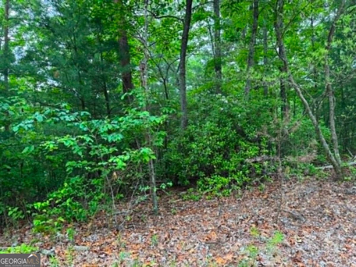 1674A Hunter Drive Ranger GA 30734