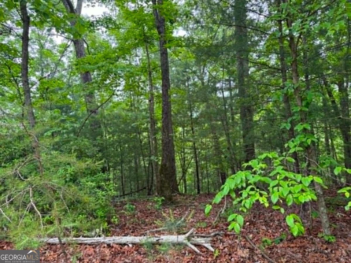 1674A Hunter Drive Ranger GA 30734