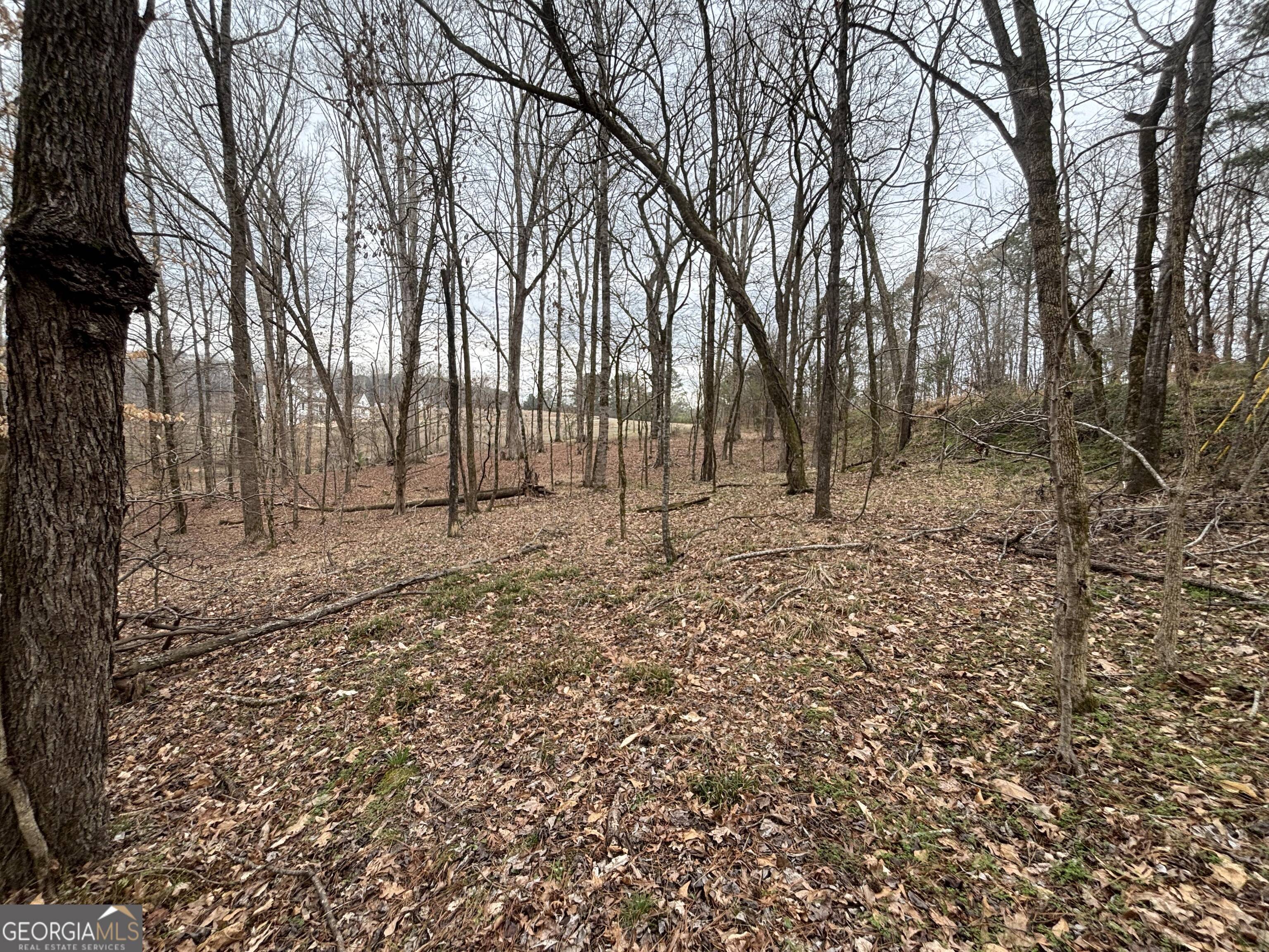 0 Oconee Road Lot 1 Buckhead GA 30625