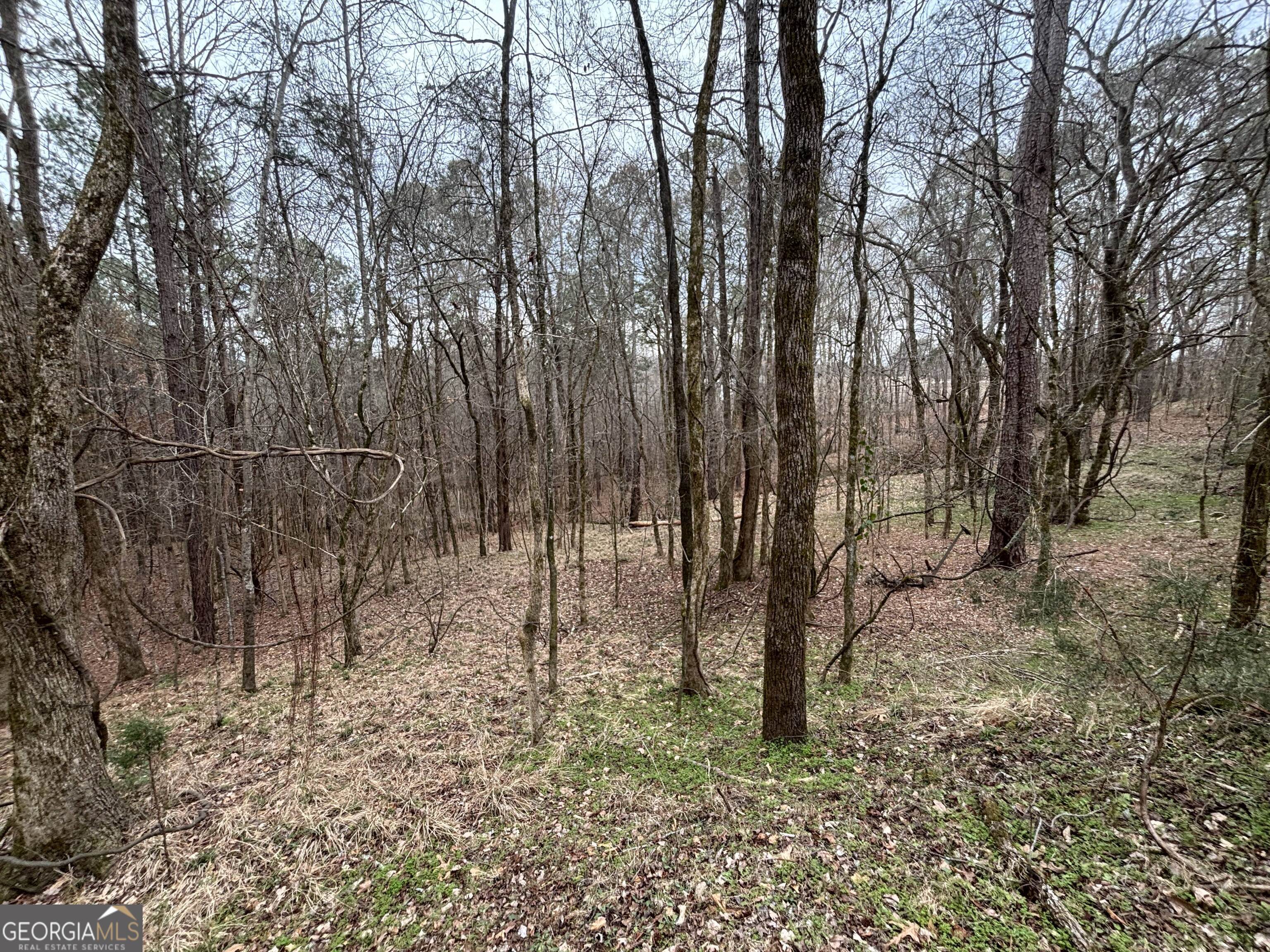 0 Oconee Road Lot 1 Buckhead GA 30625