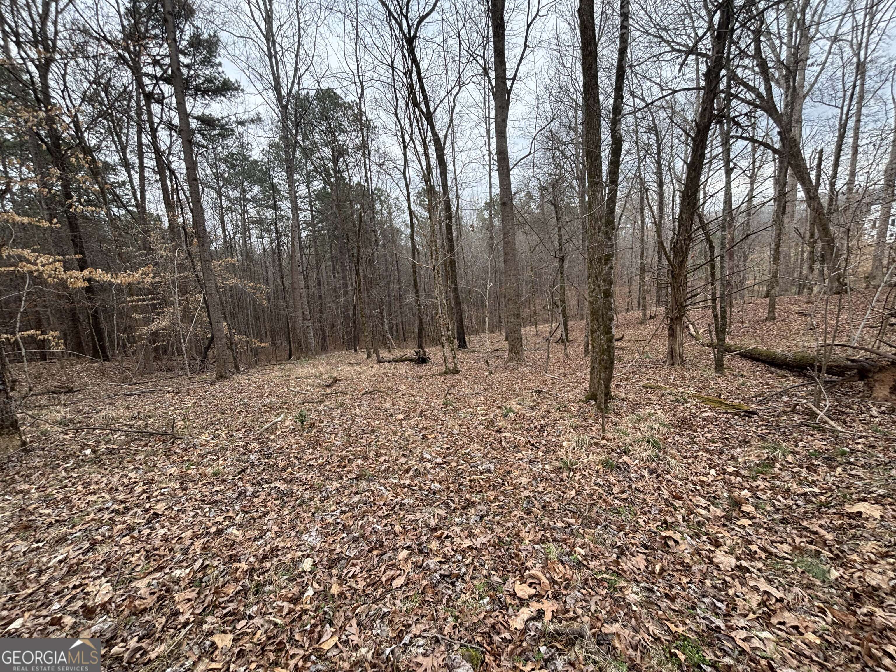 0 Oconee Road Lot 1 Buckhead GA 30625