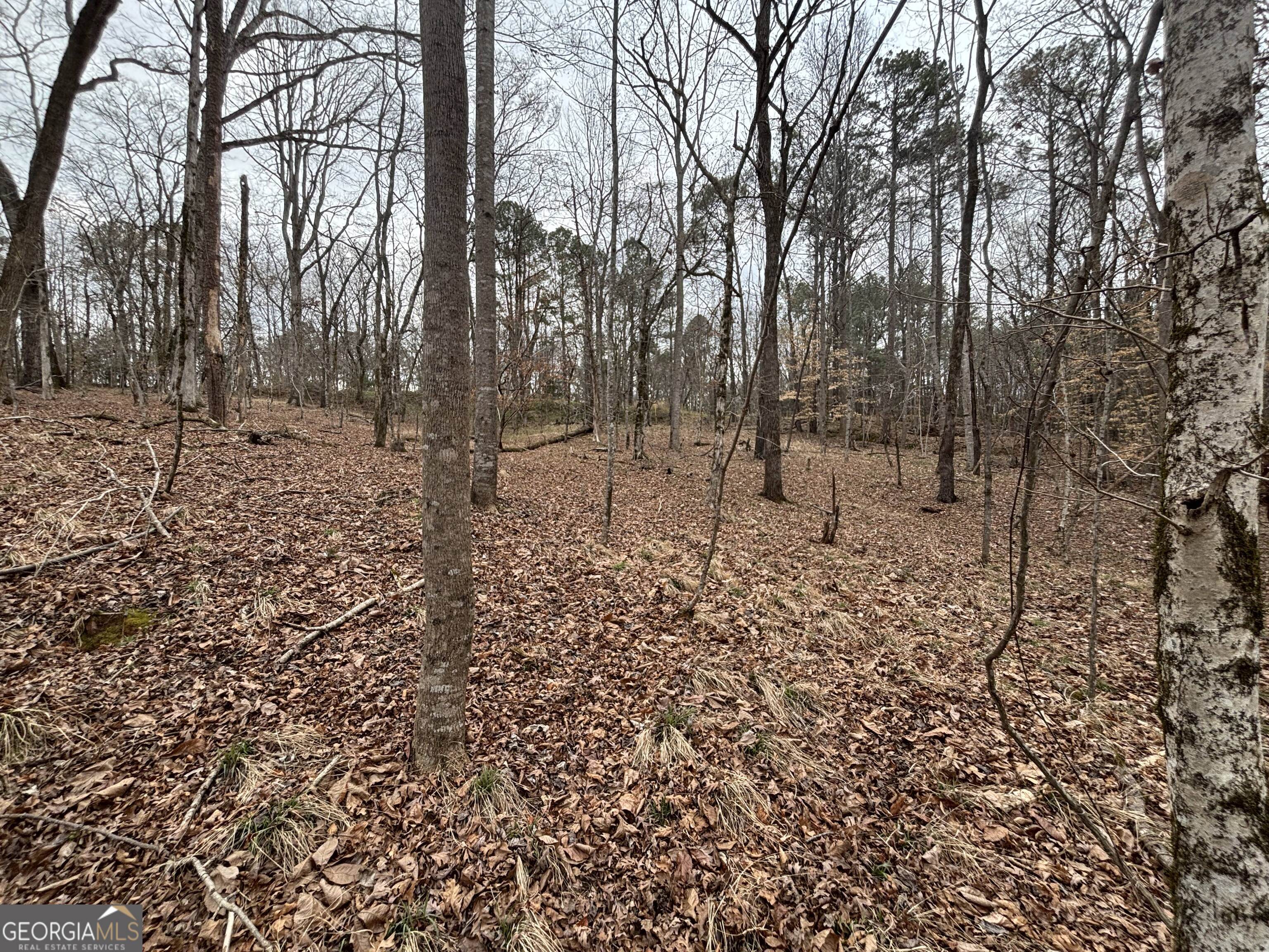 0 Oconee Road Lot 1 Buckhead GA 30625