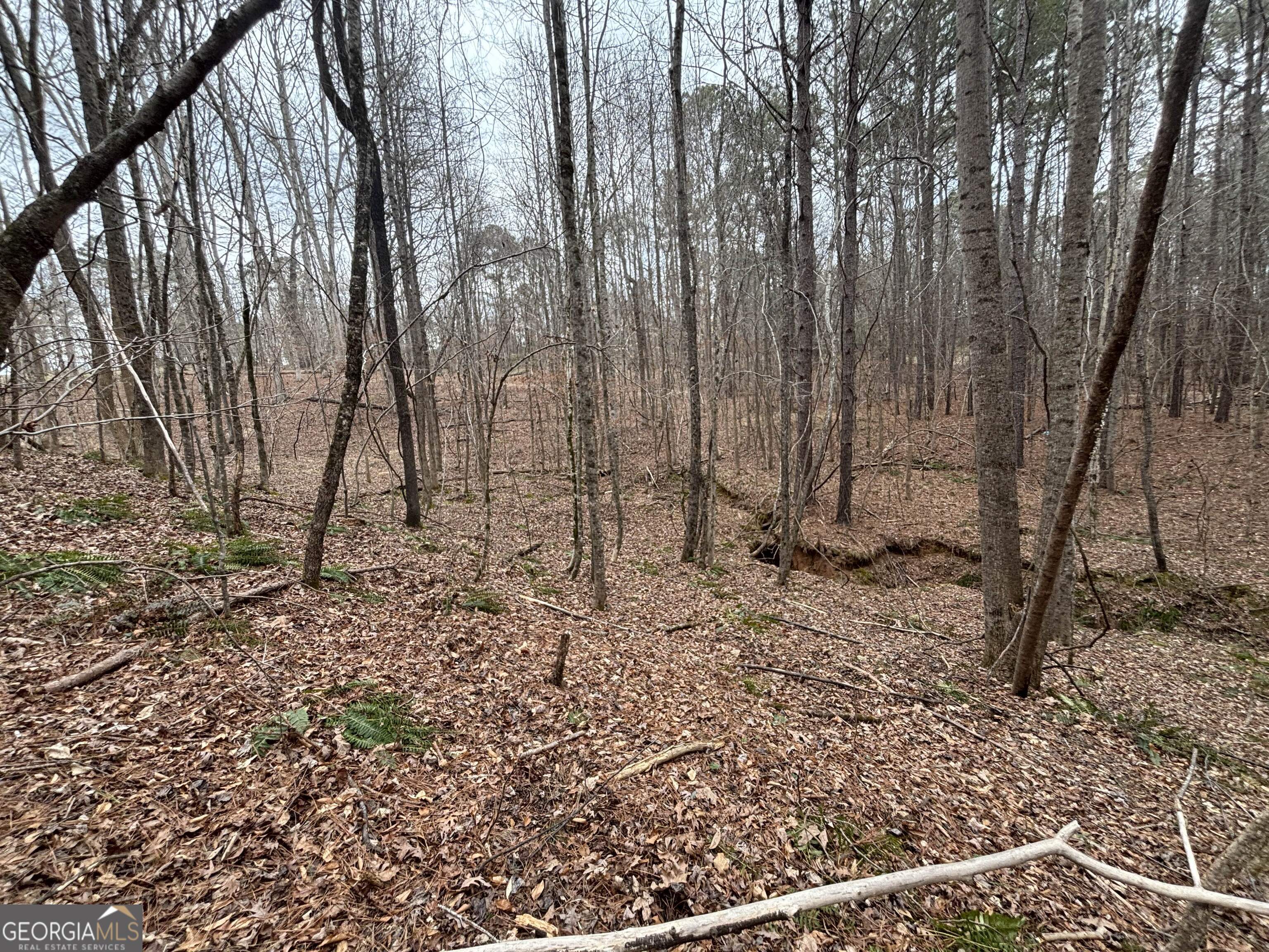 0 Oconee Road Lot 1 Buckhead GA 30625