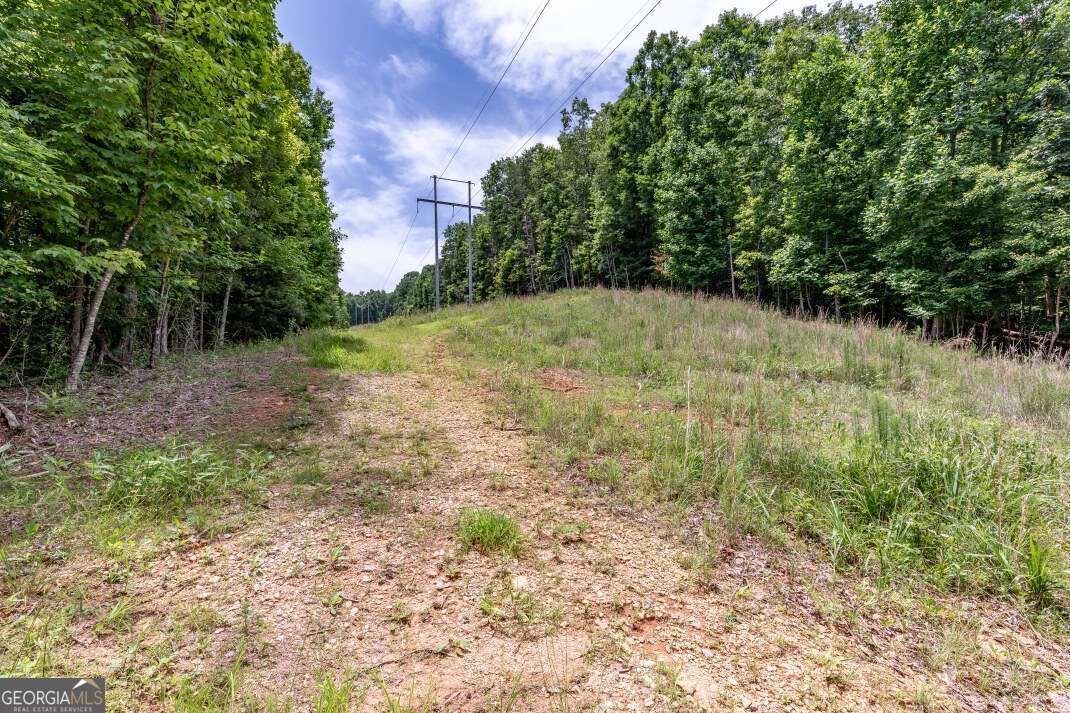 26.18 Ac Green Road Young Harris GA 30582