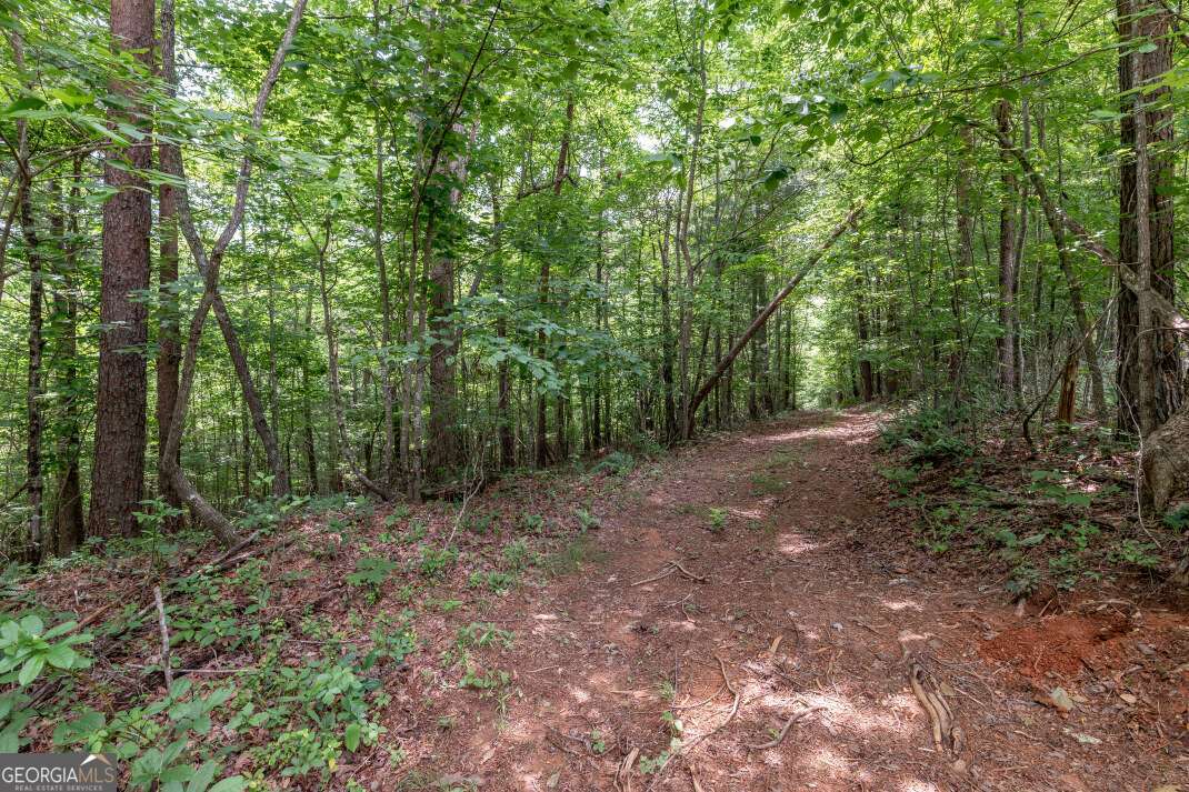 26.18 Ac Green Road Young Harris GA 30582