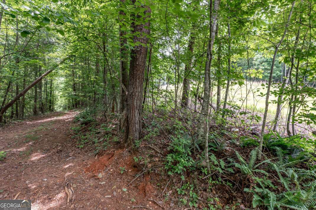 26.18 Ac Green Road Young Harris GA 30582