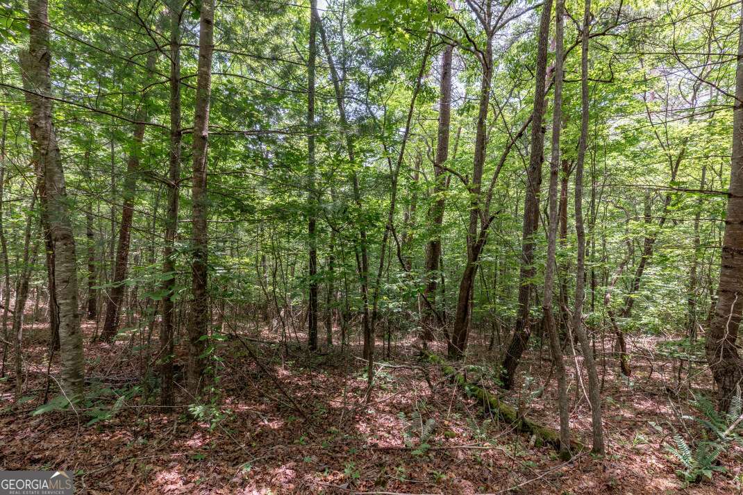 26.18 Ac Green Road Young Harris GA 30582