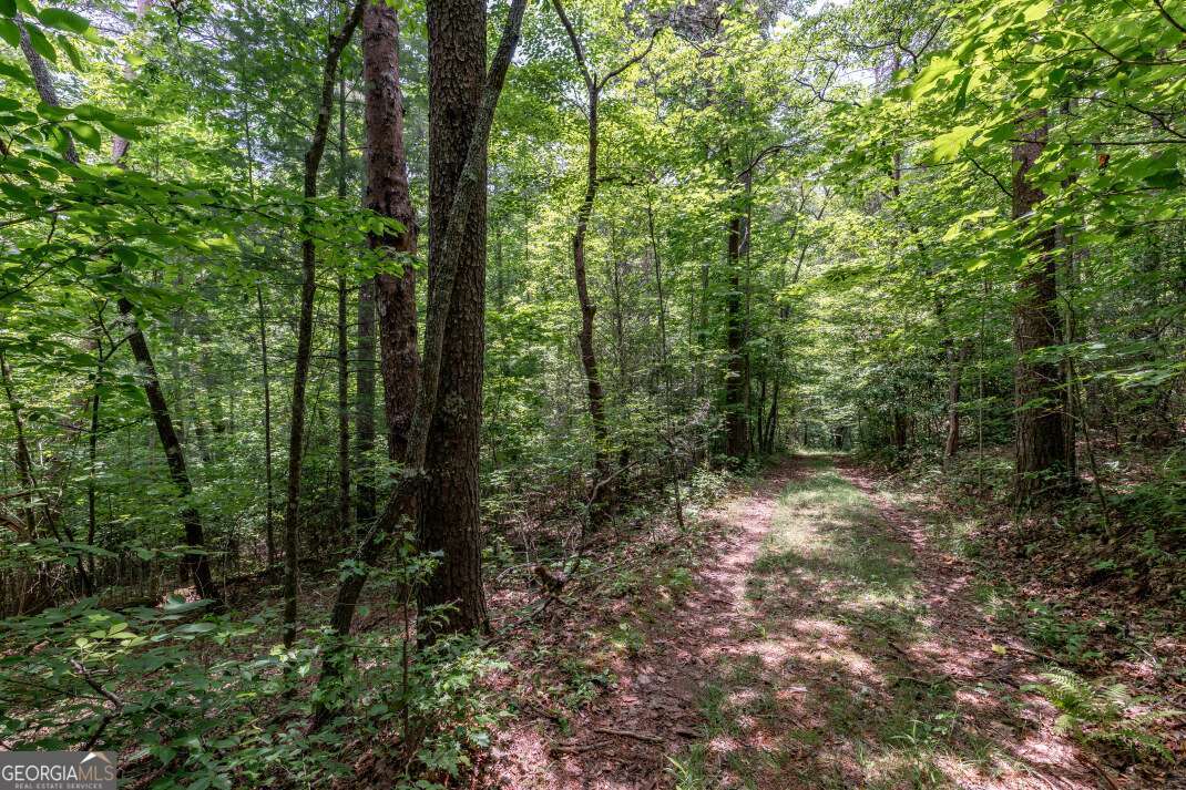 26.18 Ac Green Road Young Harris GA 30582
