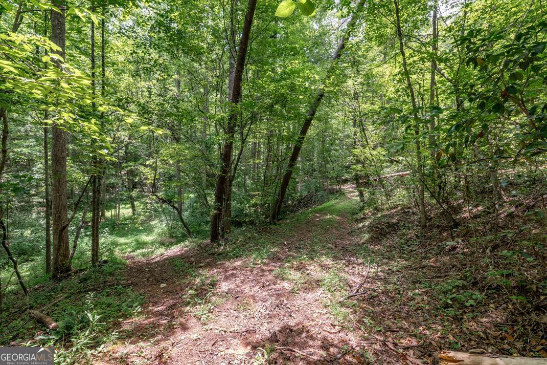 26.18 Ac Green Road Young Harris GA 30582