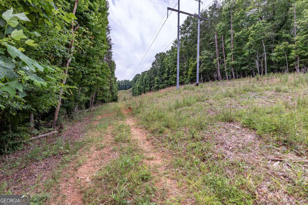 26.18 Ac Green Road Young Harris GA 30582