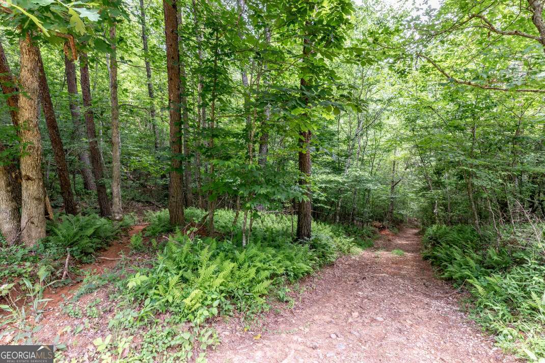 26.18 Ac Green Road Young Harris GA 30582
